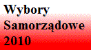 wybory samorzadowe